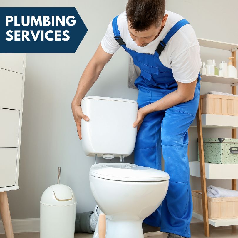 Plumbing Company in Auburn Hills, MI